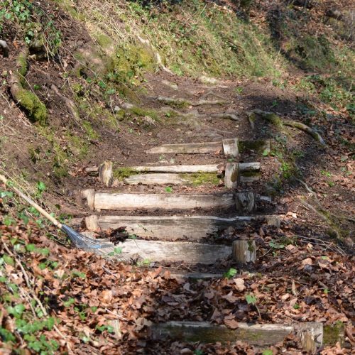 Waldwege putzen